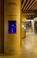 Ver Tige, Vitrine du Muséum, 2012